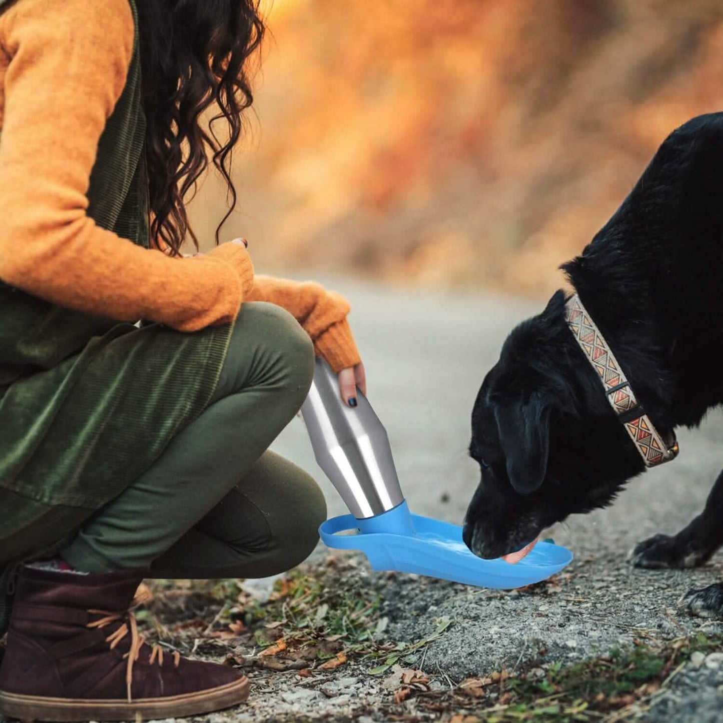 25oz Portable Dog Stainless Steel Water Dispenser Leak Proof Design