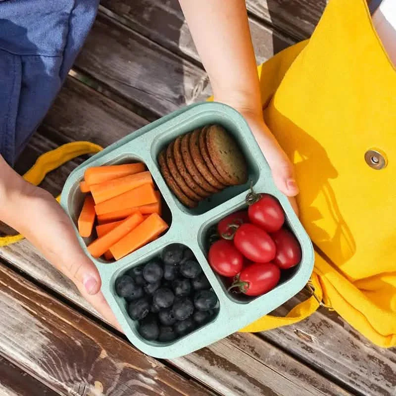 4-Pack: Snack Container With 4 Compartments, Divided Bento Lunch Box With Transparent Lids