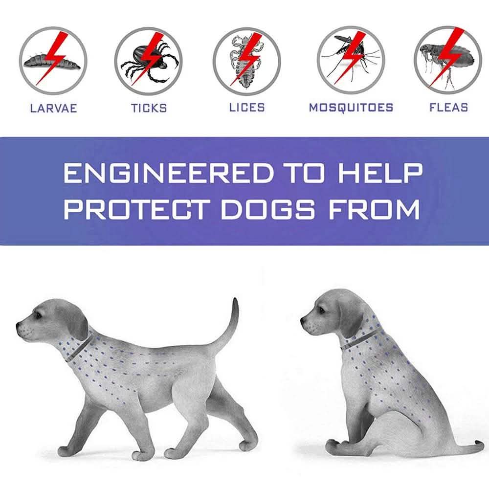 Flea Collar Dogs 8-month Flea and Tick Prevention for Dogs 3 Months of Age and Older