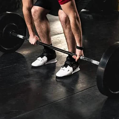 1-Pair: Bumper Plates 2-Inch Bumpers Olympic Weight Plate