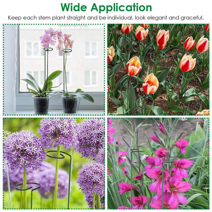 10-Pack: Plant Support Stake