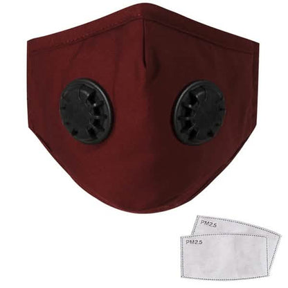10-Pieces: Double Breathing Valve PM 2.5 Mask Respirator