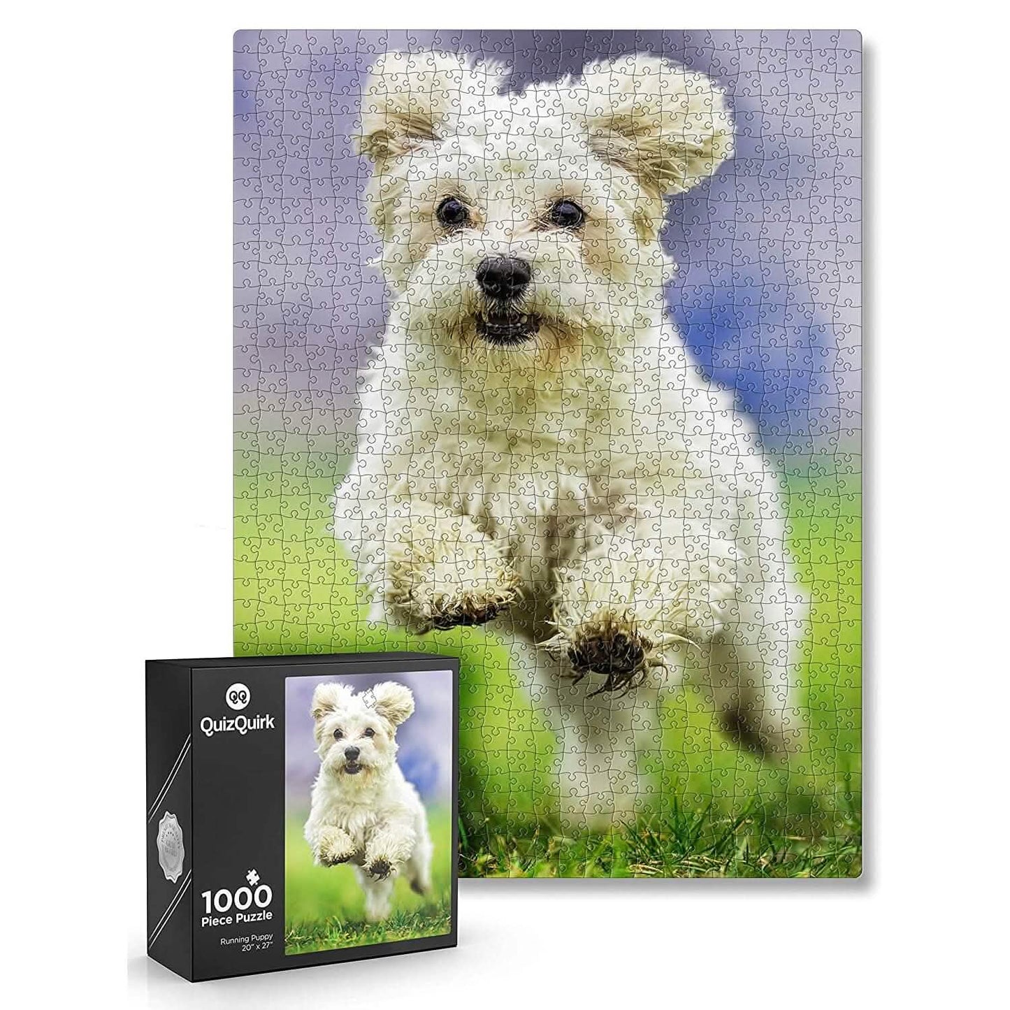 1000-Piece: Puzzle for Adults/Teens with Puzzle Saver Kit