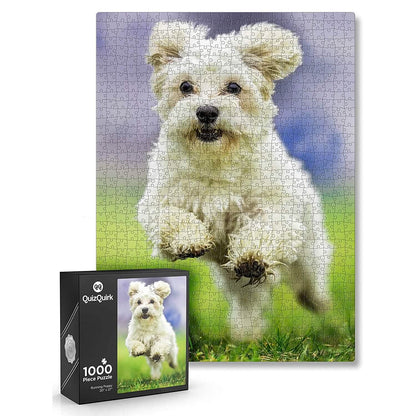 1000-Piece: Puzzle for Adults/Teens with Puzzle Saver Kit
