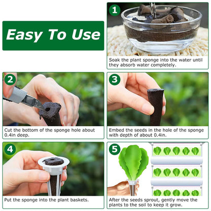 120-Piece: Seed Pod Kit