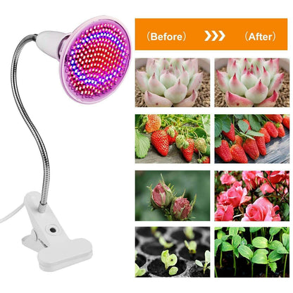 12W LED 360° Rotatable Plant Grow Light with Desk Clip