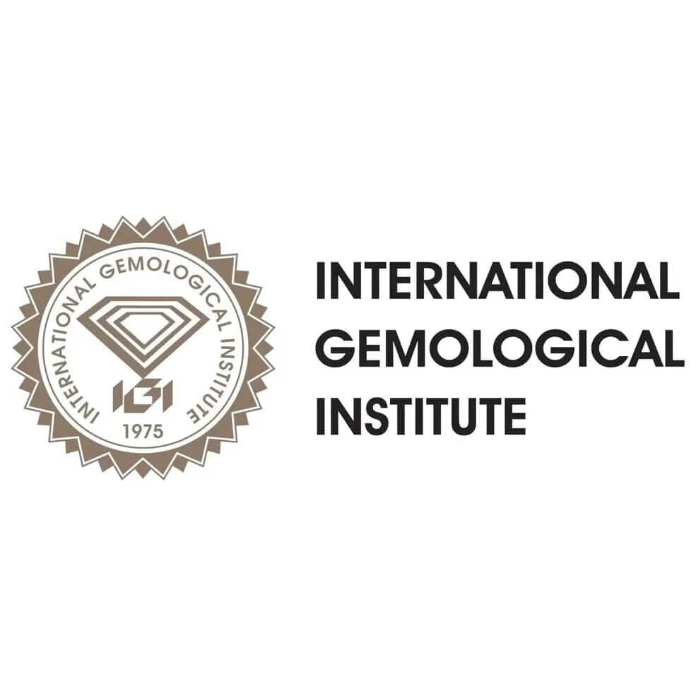 14K Solid White Gold 10.00ct Lab-Grown Round IGI Certified Diamond Stud Earrings