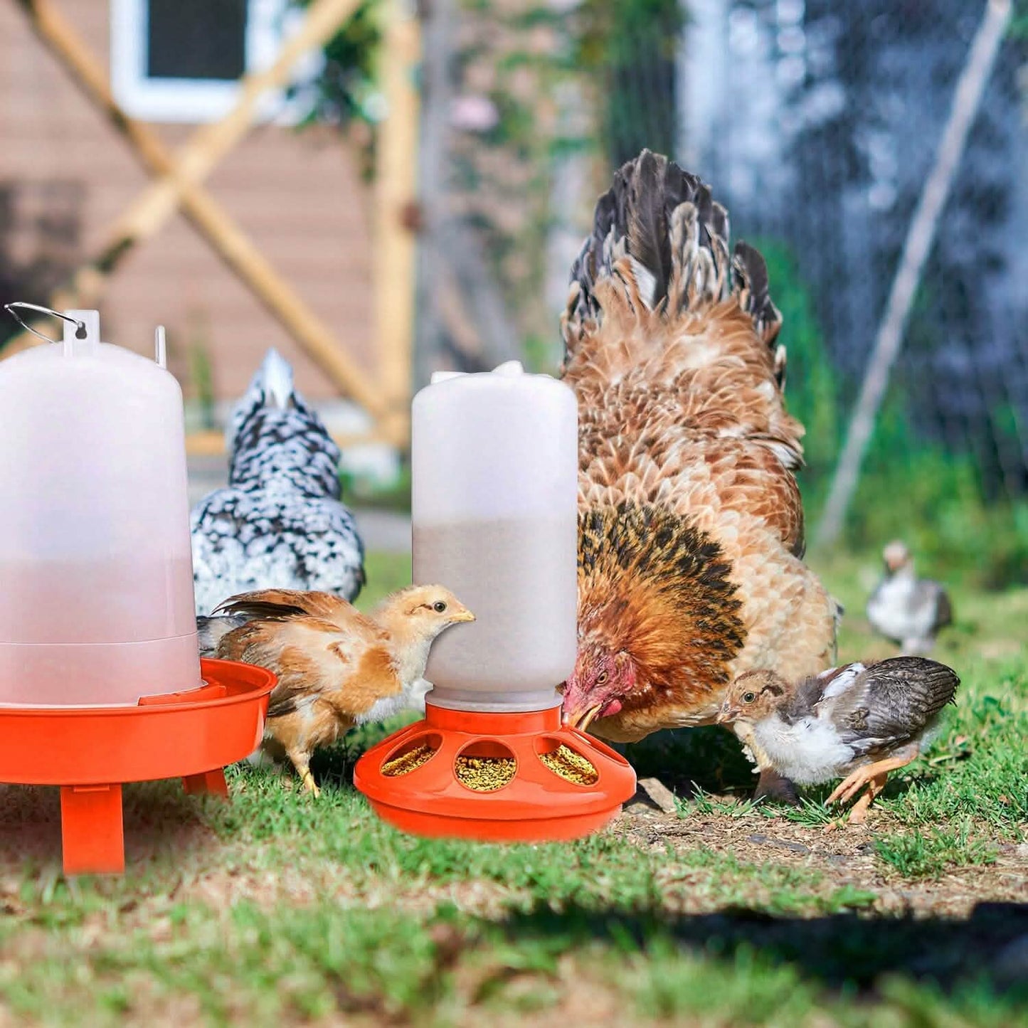 1.5L Chicken Feeder Adjustable Height Waterer Set