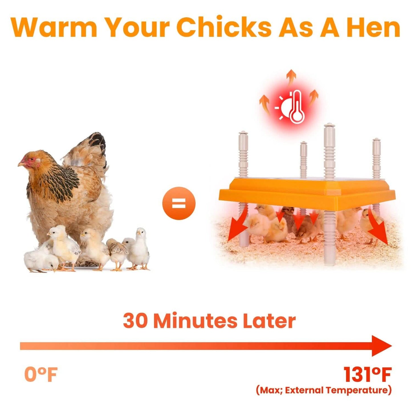 15W Chicken Brooder Heater with Adjustable  Height Angle Max 131℉