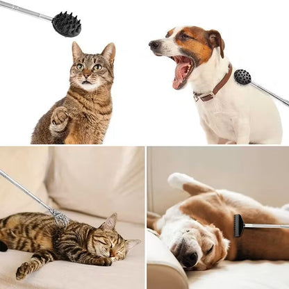 Retractable Cactus Back Scratcher – Long Handle, Durable PVC