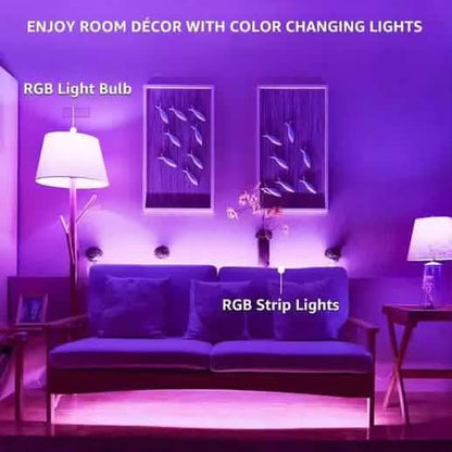 2-Pack: Smart Home Multi-Color LED A19 Bulb 5W