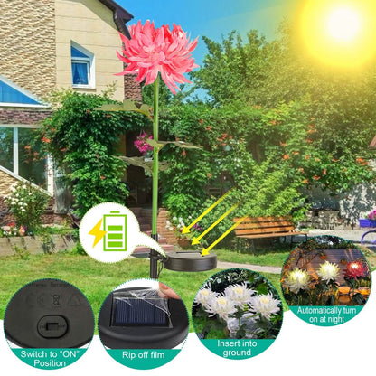 2-Pack: Solar LED Chrysanthemum Lights