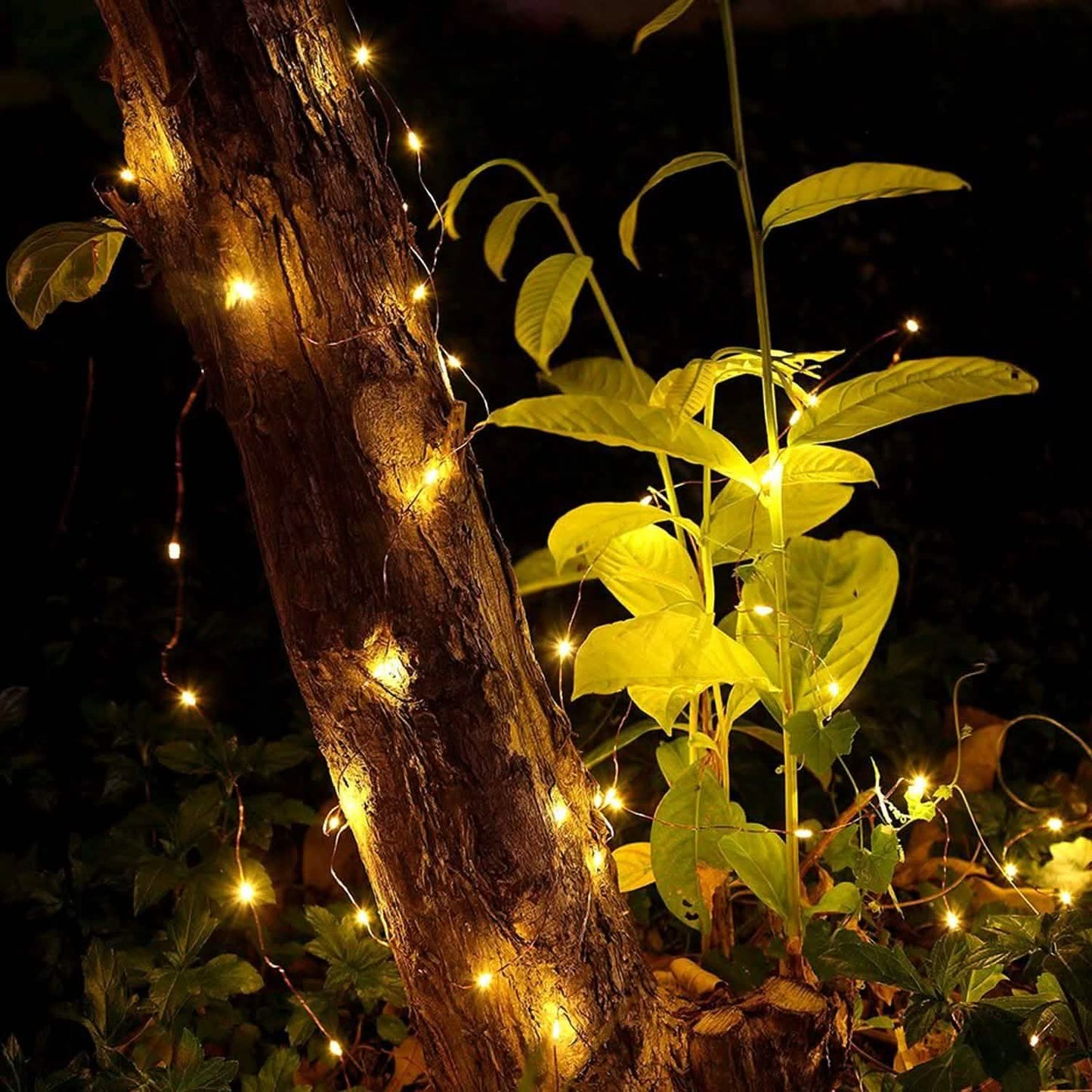 2-Piece: 100LED Beads String Lights