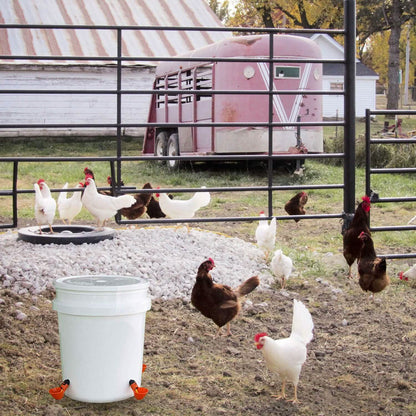 20-Pack: Chicken Waterer Automatic Drinker