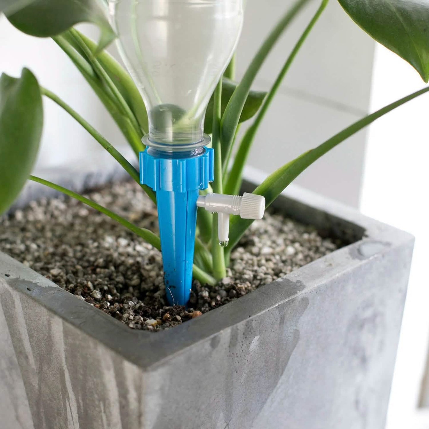 24-Piece: Plant Watering Spikes Self Watering Device