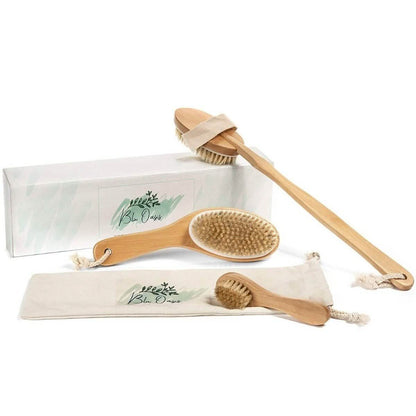 3-Piece Set: Blu Oasis Premium Dry Brushes with Travel Bag