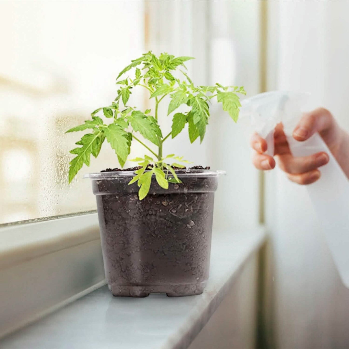 30-Pieces: Plant Nursery Pots PET Flower Seed Starting Pots Container with Dome Drainage Holes