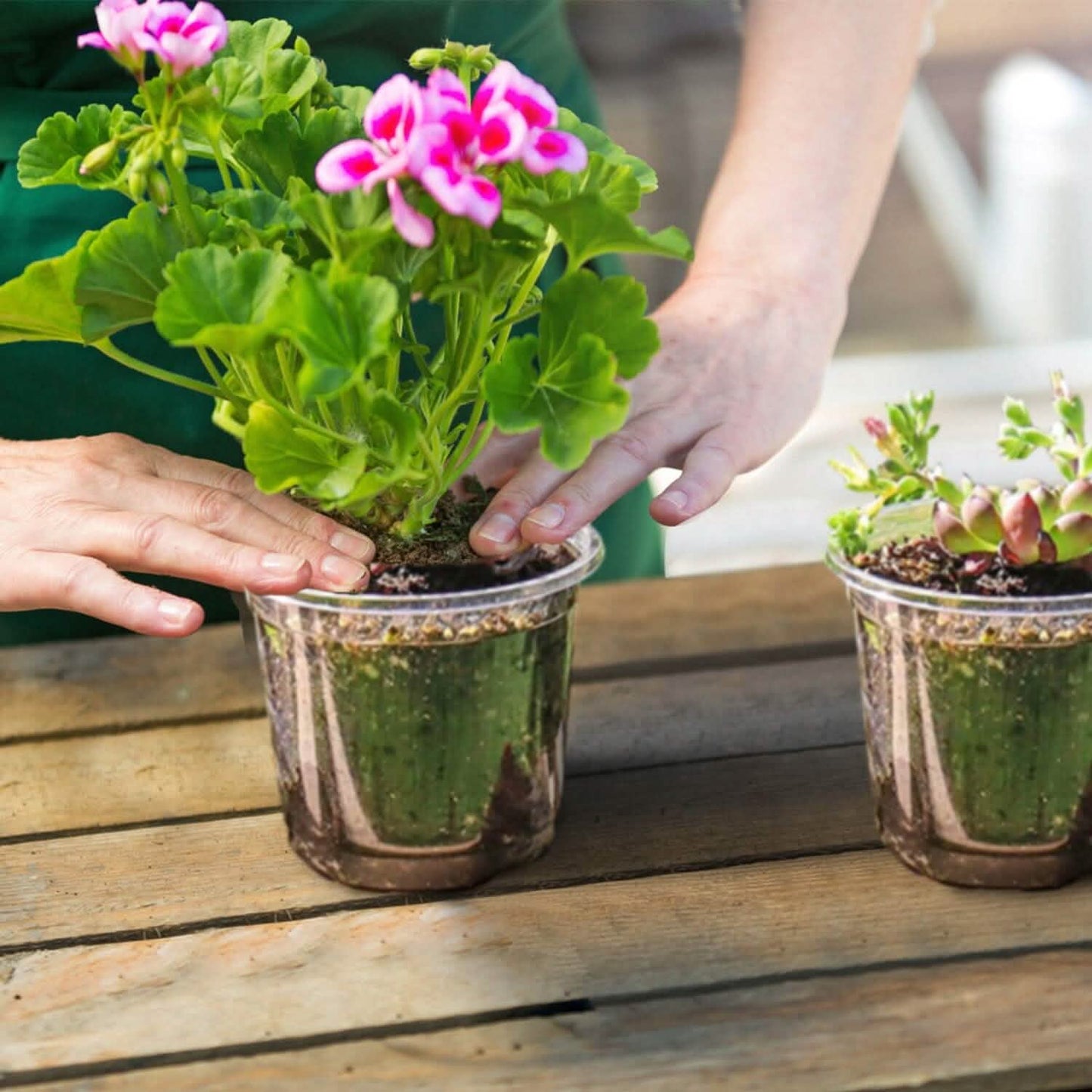30-Pieces: Plant Nursery Pots PET Flower Seed Starting Pots Container with Dome Drainage Holes