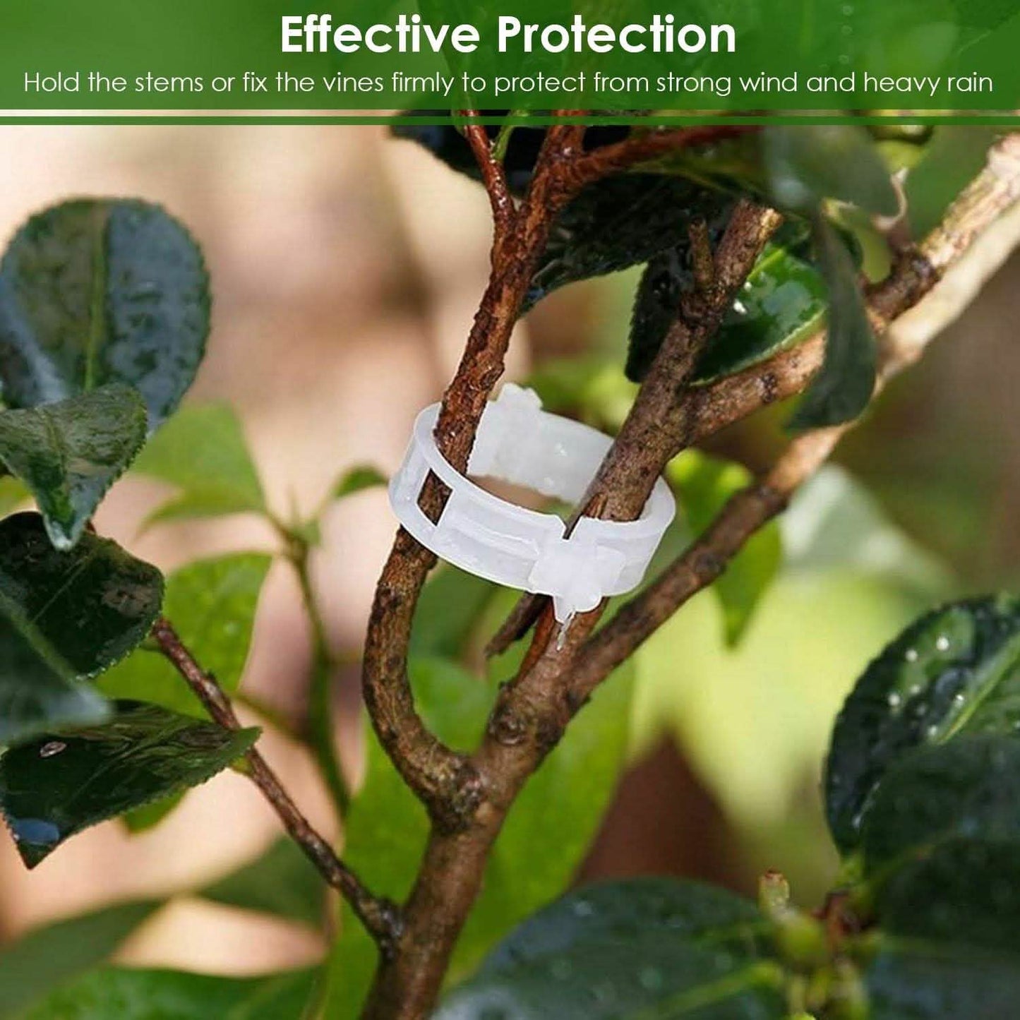 300-Pieces: Garden Plant Support Clips