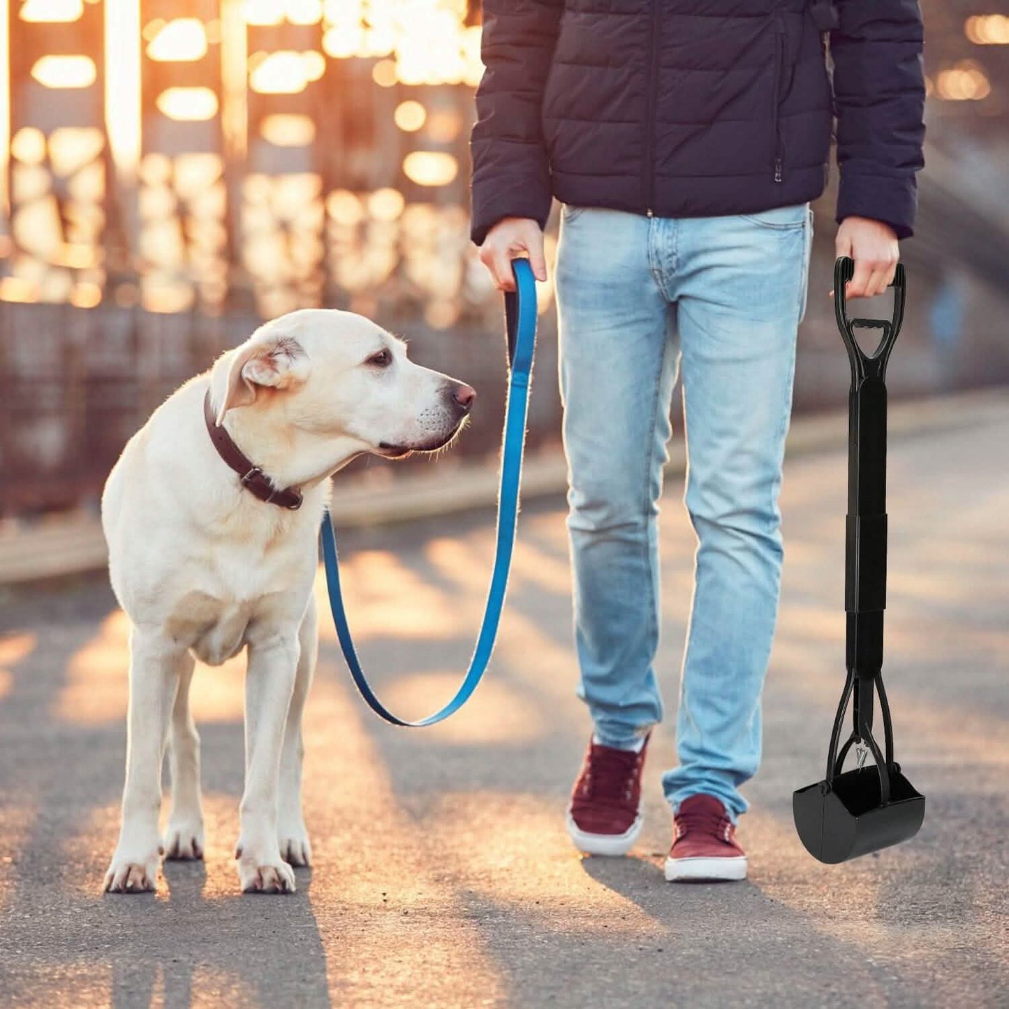 31.5-Inch Pet Pooper Scooper