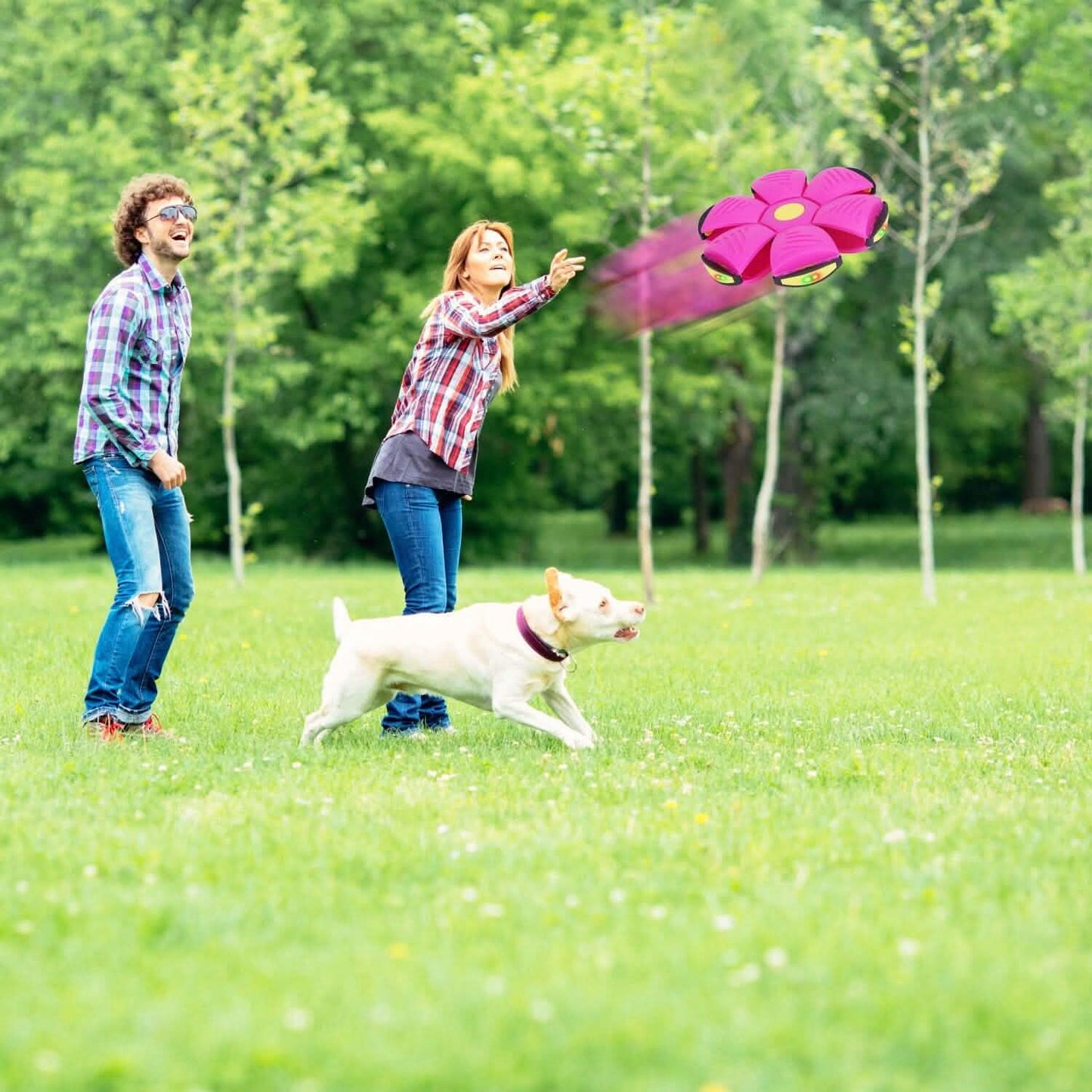 4-Pack: Flying Saucer Ball with LED Lights