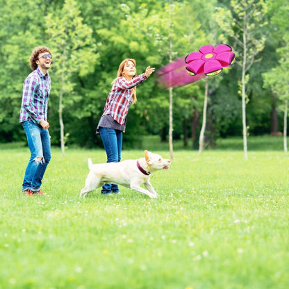 4-Pack: Flying Saucer Ball with LED Lights