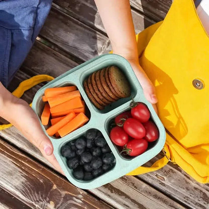 4-Pack: Snack Container With 4 Compartments, Divided Bento Lunch Box With Transparent Lids