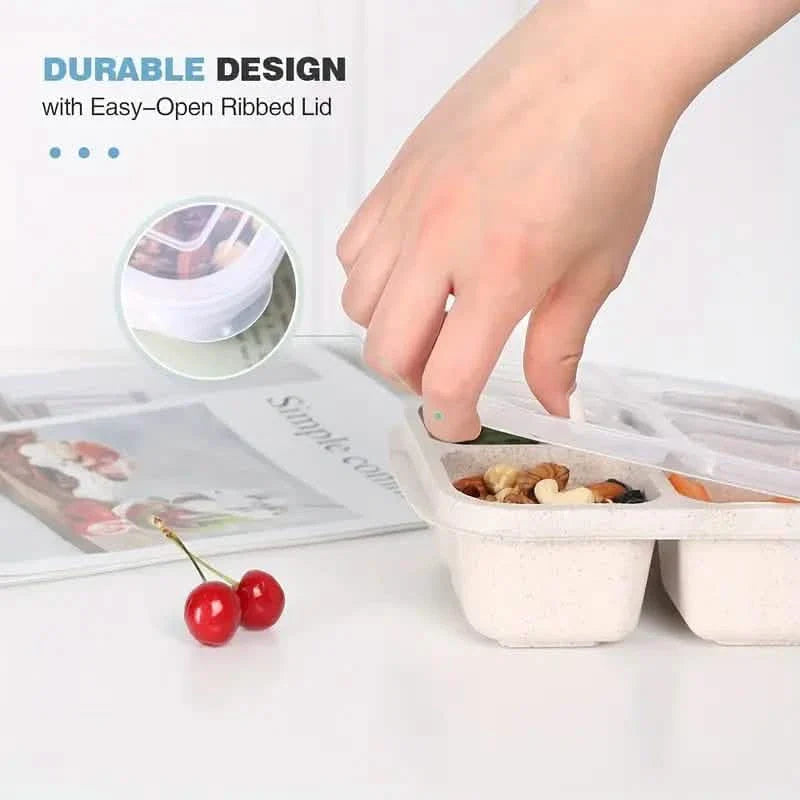 4-Pack: Snack Container With 4 Compartments, Divided Bento Lunch Box With Transparent Lids