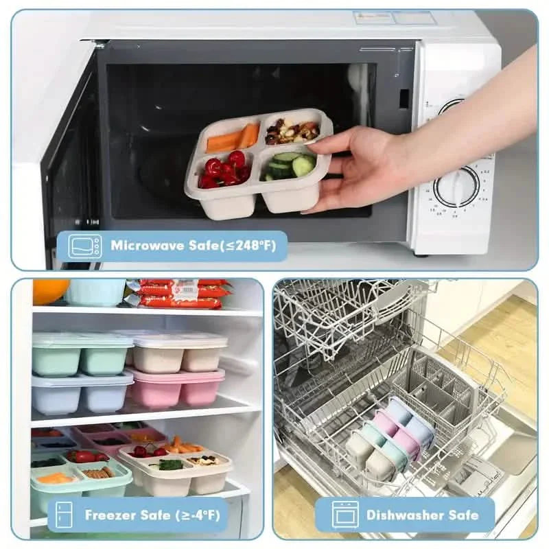 4-Pack: Snack Container With 4 Compartments, Divided Bento Lunch Box With Transparent Lids