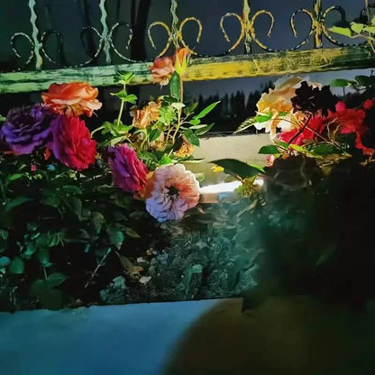 4-Pack: Waterproof Solar Garden Lights