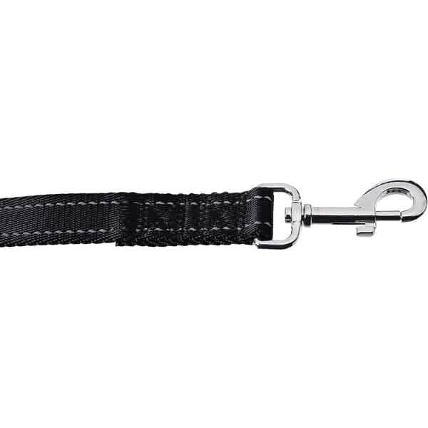 5 Foot Padded Single Handle Dog Leash