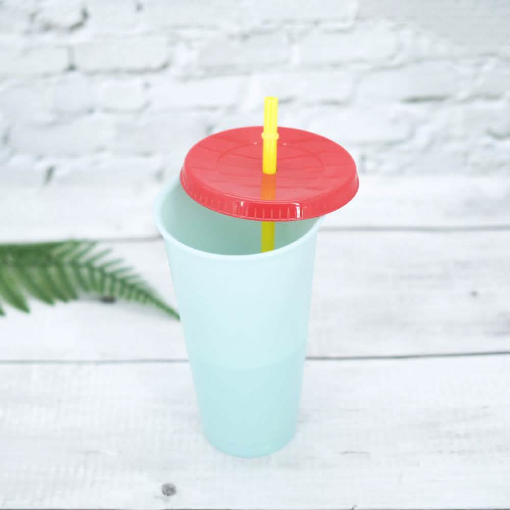 5-Pack: Colorful Drinking Cup with Lid and Straw