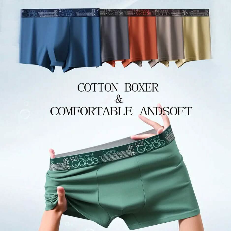 5-Pack: Plus Size Men's Boxer Briefs