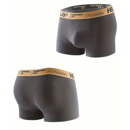 5-Pack: Plus Size Men's Boxer Briefs