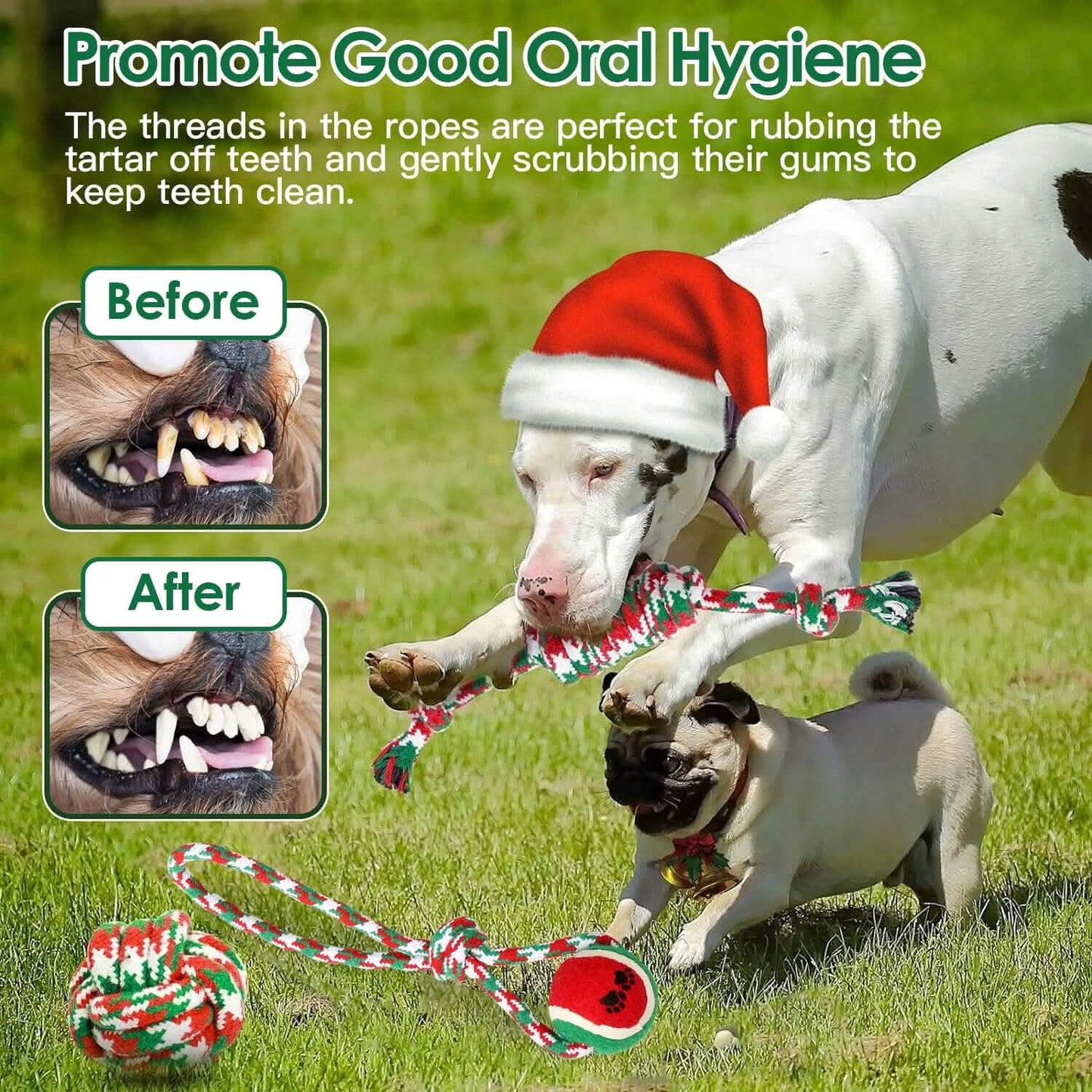5-Pieces: Christmas Dog Rope Chew Toys