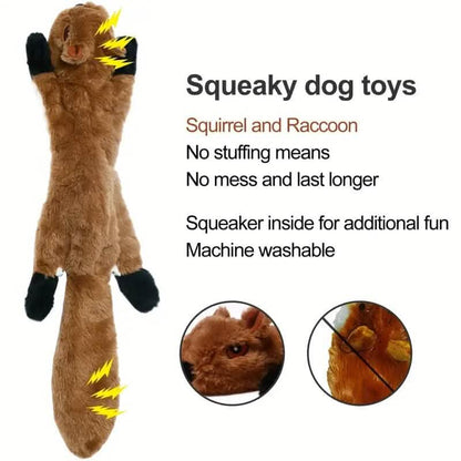5-Pieces: Pet Toy Set