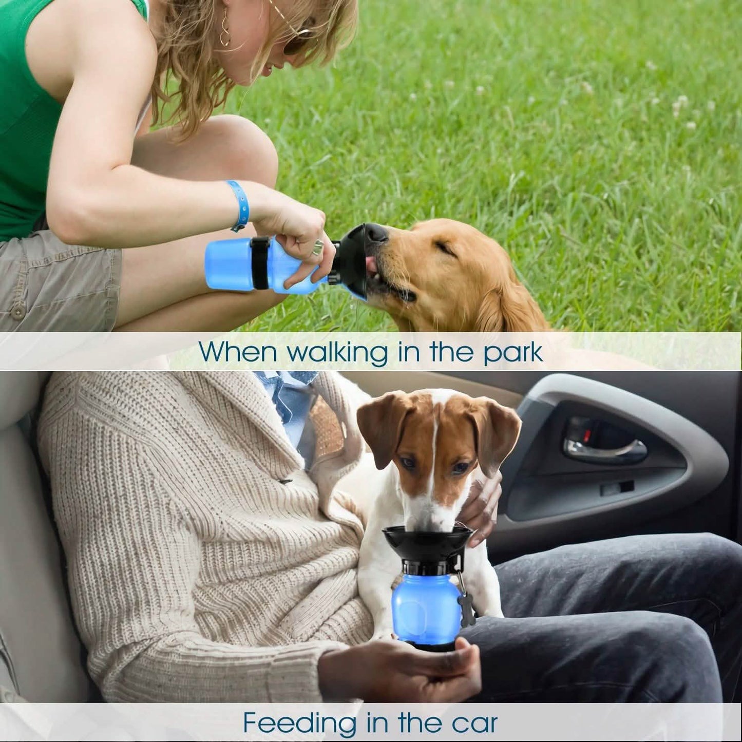 500ml Pet Water Bottle Portable Water Cup