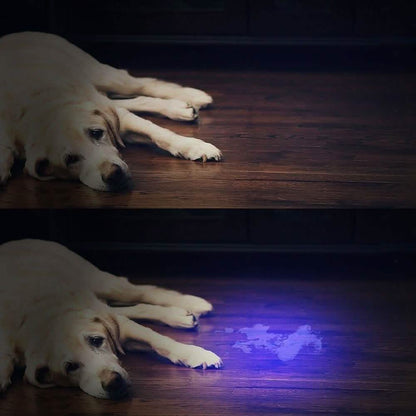 51 LED Ultraviolet Blacklight