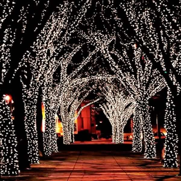 55' Solar-Powered 100-LED Fairy Light String - Warm White