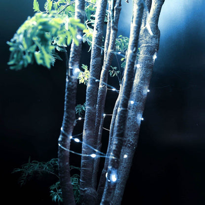 6-Pack: LED String Lights