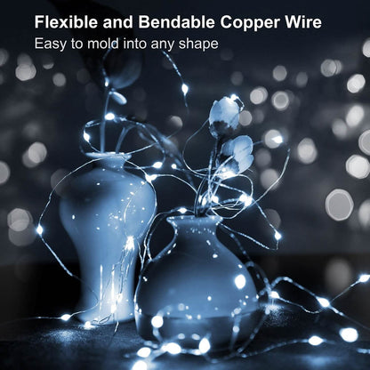 6-Pack: LED String Lights