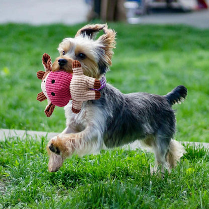 7-Piece: Puppy Cord Chew Toys