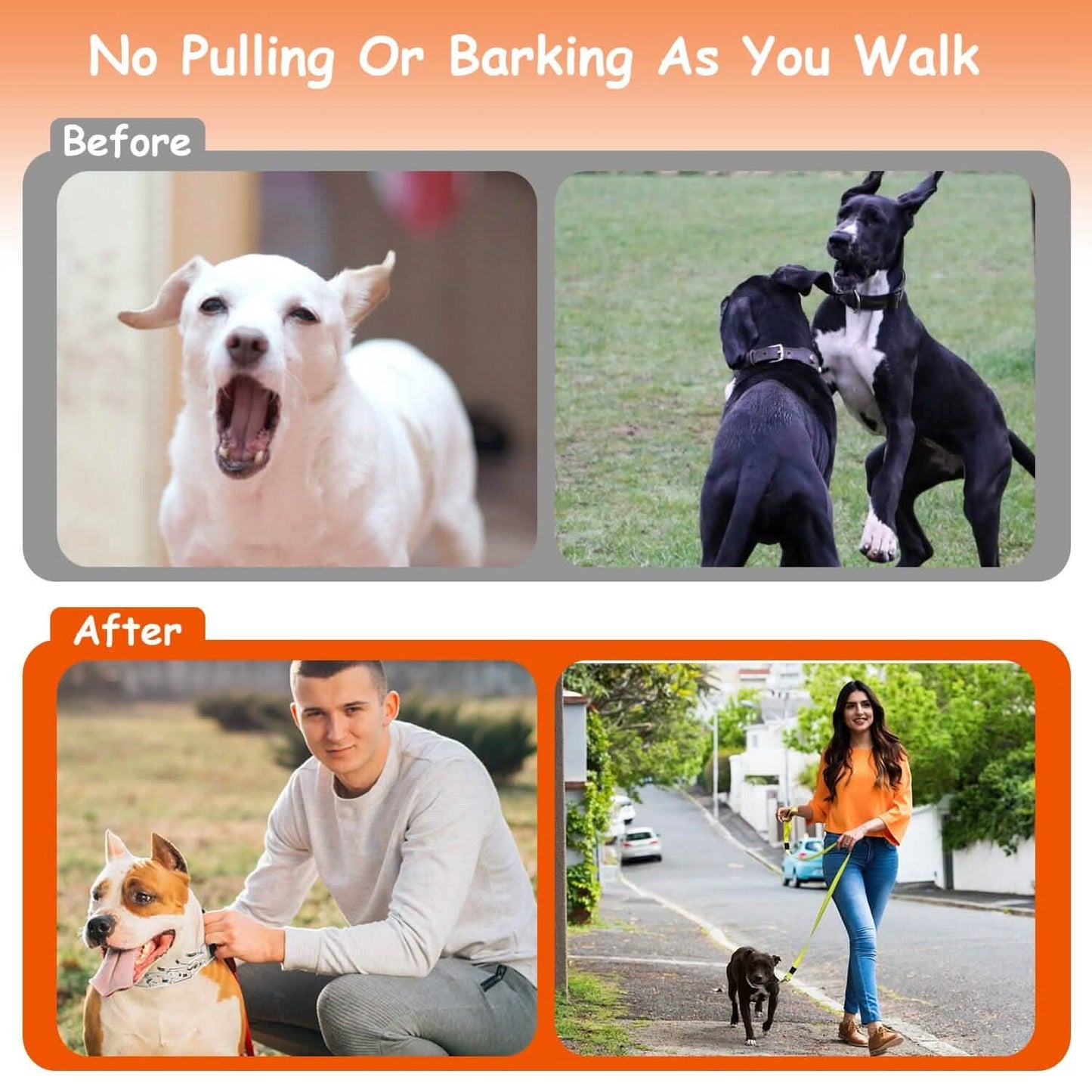 Adjustable Dog Choke Collar Training Chain