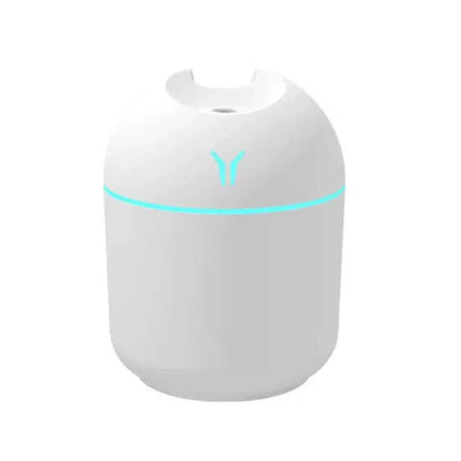 Aroma Diffuser & Humidifier Cold Mist & Night Light