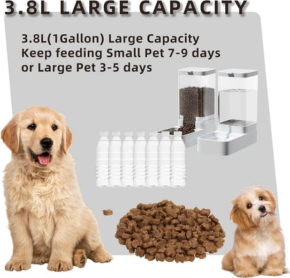 Automatic Cat Feeder and Water Dispenser Set