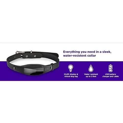 Black+Decker Smart Dog Collar