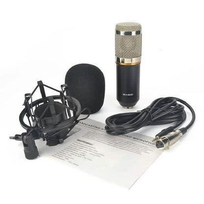 BM800 Professional Condenser Microphone