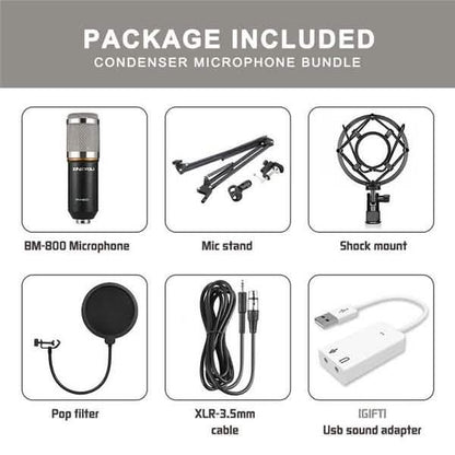 BM800 Professional Condenser Microphone