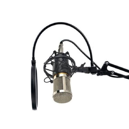 BM800 Professional Condenser Microphone