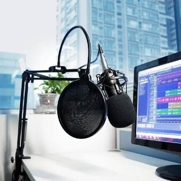 BM800 Professional Condenser Microphone